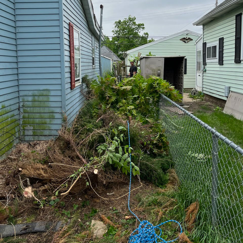 brush removal Treemendous tree services Indiana