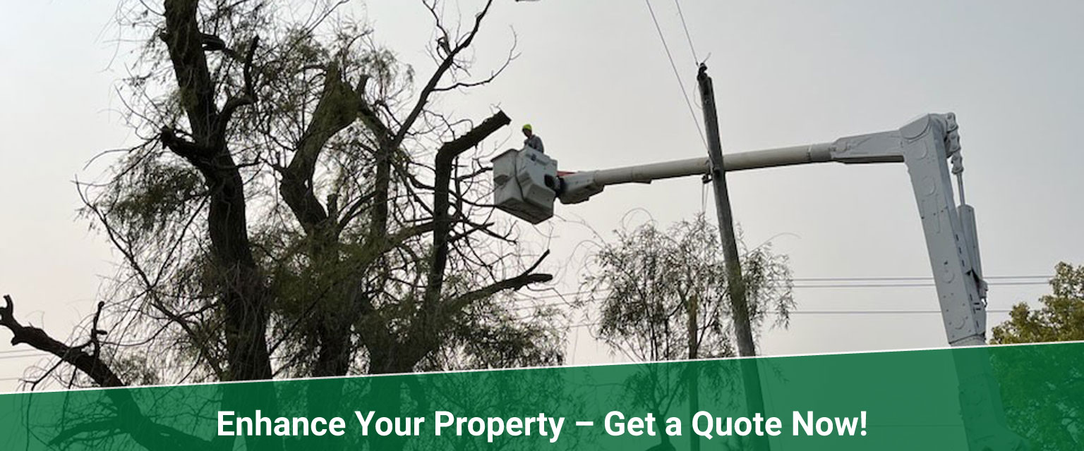 get a quote consultations Treemendous tree services Indiana