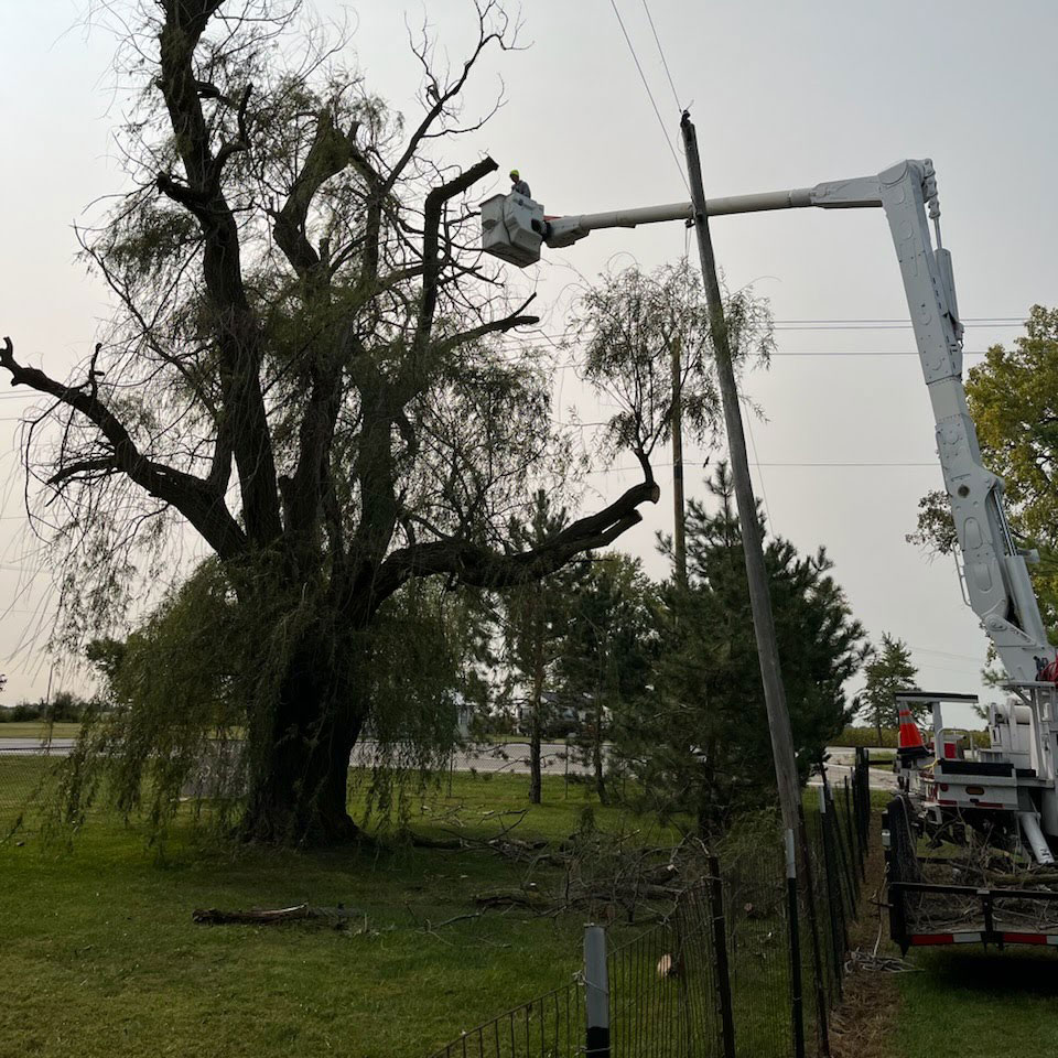 risk management consultations Treemendous tree services Indiana
