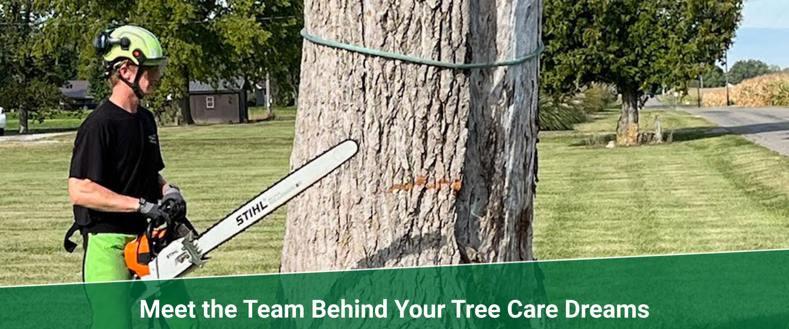 staff Treemendous tree services Indiana