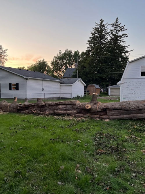 storm services Treemendous tree services Indiana