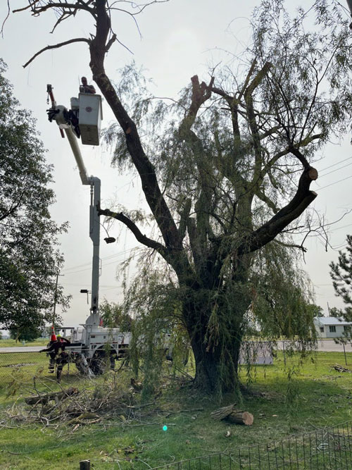 storm services Treemendous tree services Indiana