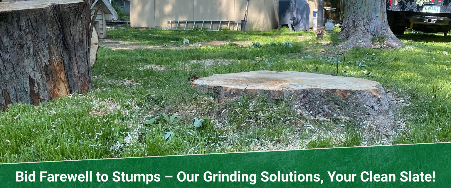 stump grinding Treemendous tree services Indiana