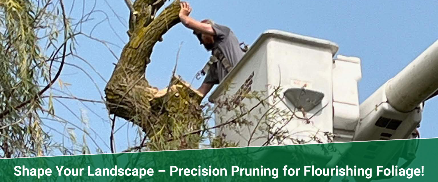 tree pruning Treemendous tree services Indiana