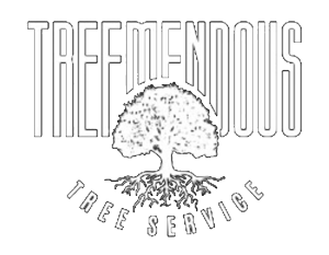treemendous tree services indiana